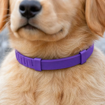 Malie™ Calming Collar