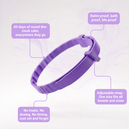 Malie Calming Collar