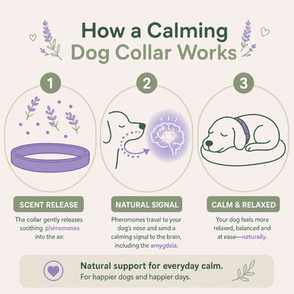 Malie™ Calming Collar