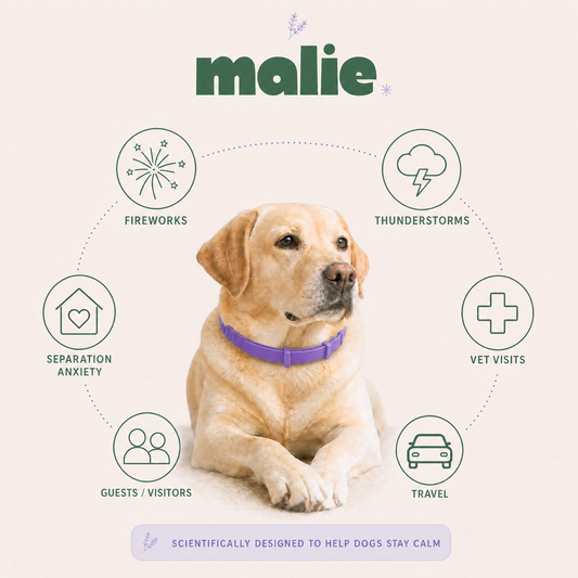 Malie Calming Collar